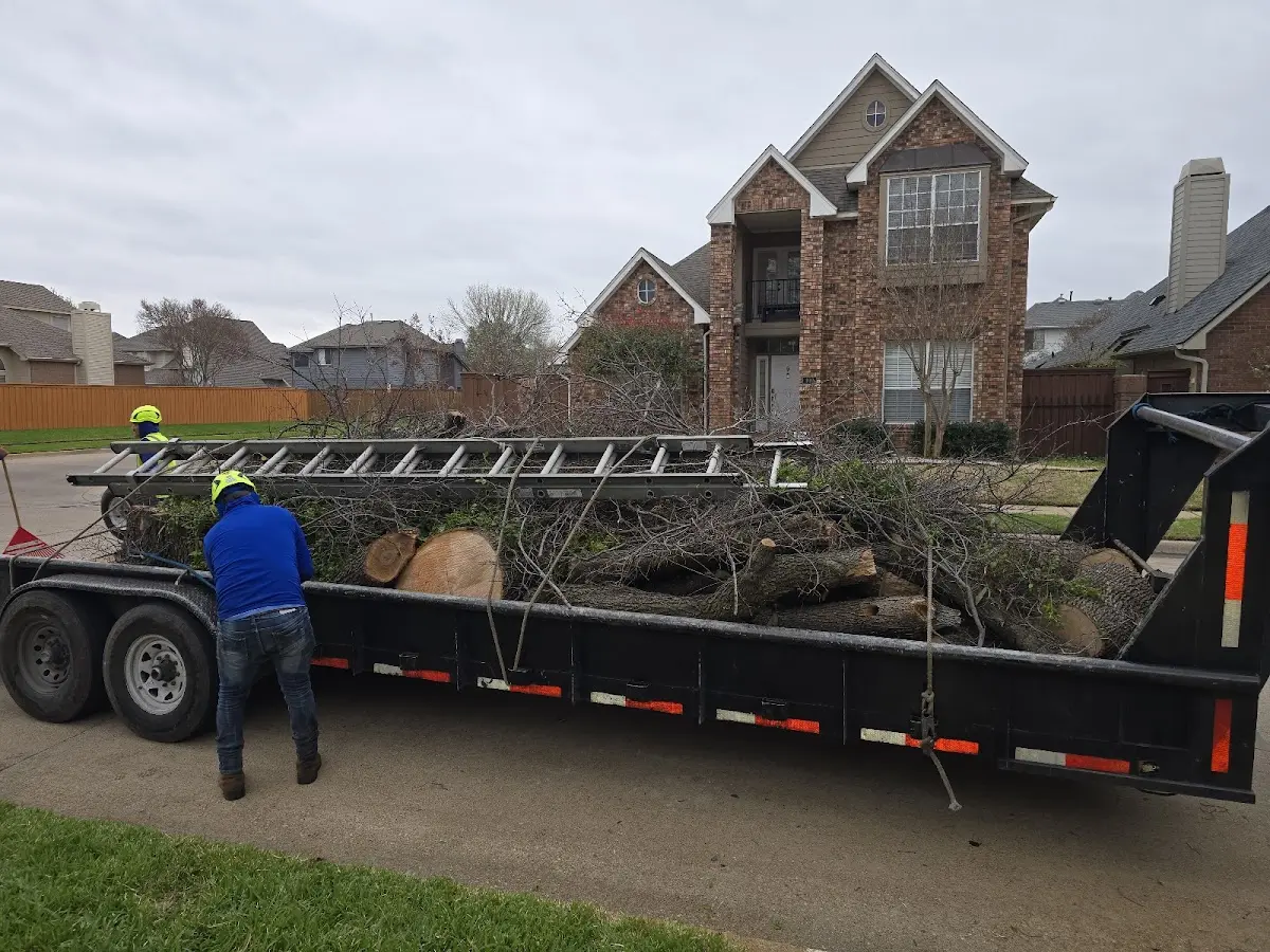 Expert Tree Removal with proper safety equipment in Raritan